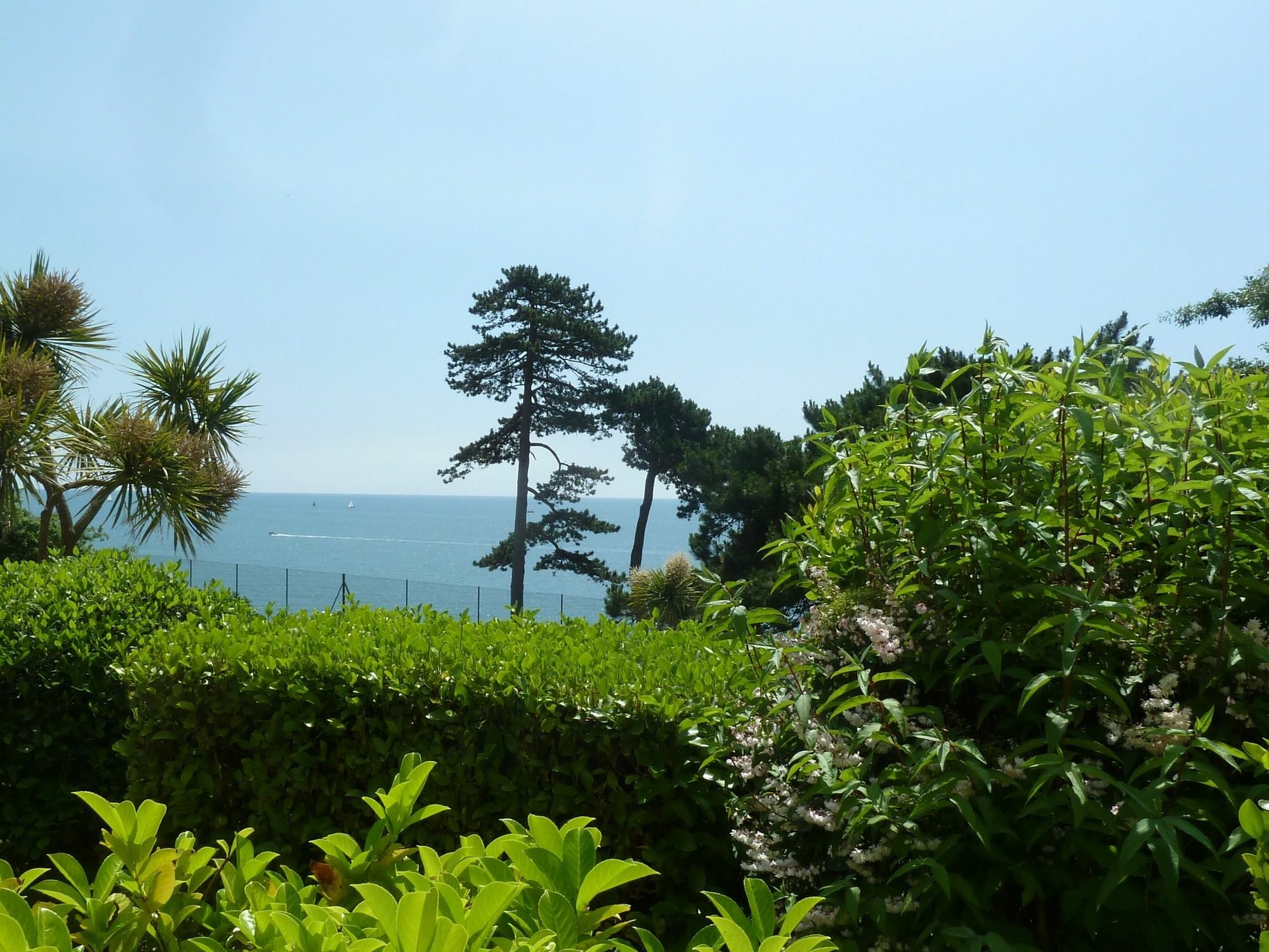 Tramontane Apartment At Hesketh Crescent Torquay Exterior foto